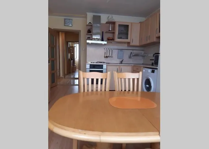 самостоятелен на брега на морето *