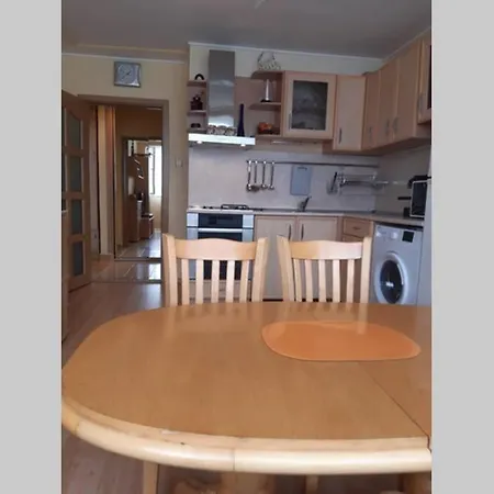 самостоятелен на брега на морето *